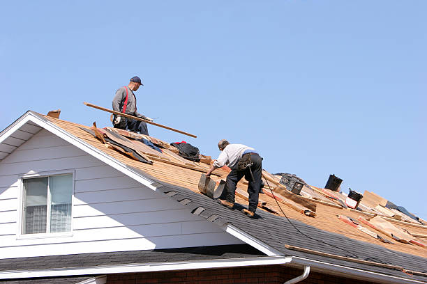Best Roof Maintenance and Cleaning  in Rupert, WV